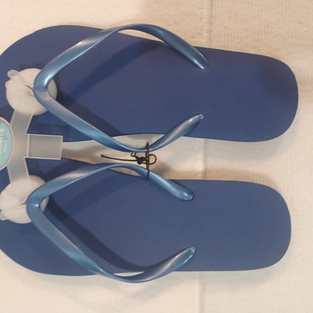 Blue and White Flip Flops